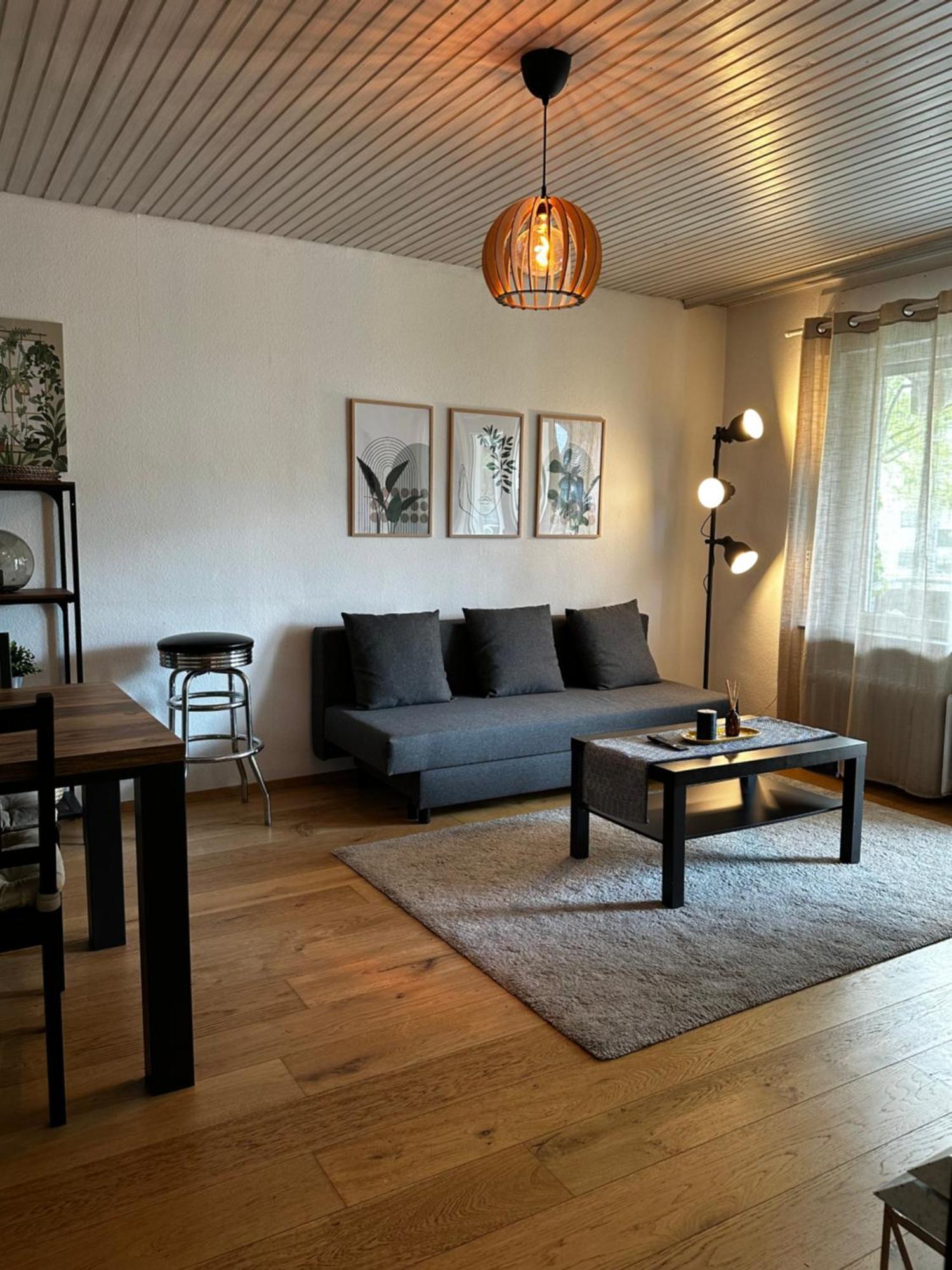 Gemuetliche Wohnung カールスルーエ エクステリア 写真